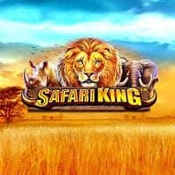 Safari King icon